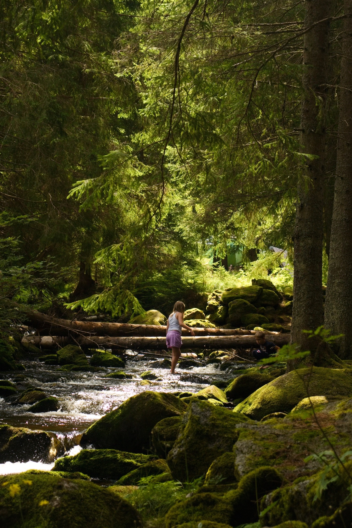 Child crossing forest stream