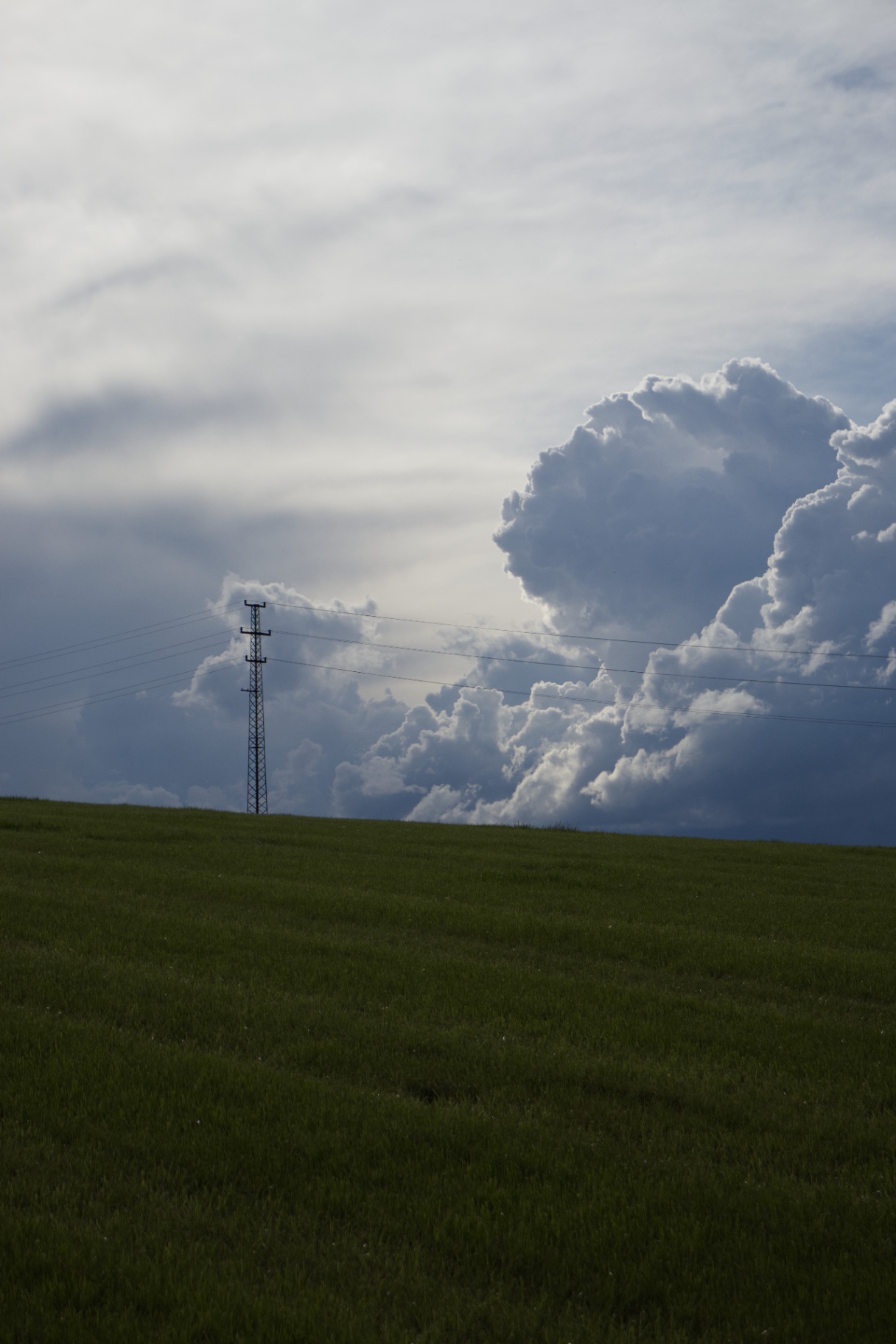Field and clouds