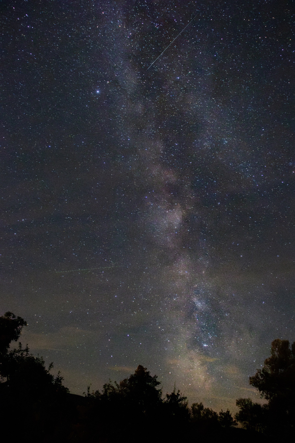 Milky Way over trees